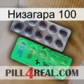 Низагара 100 new04